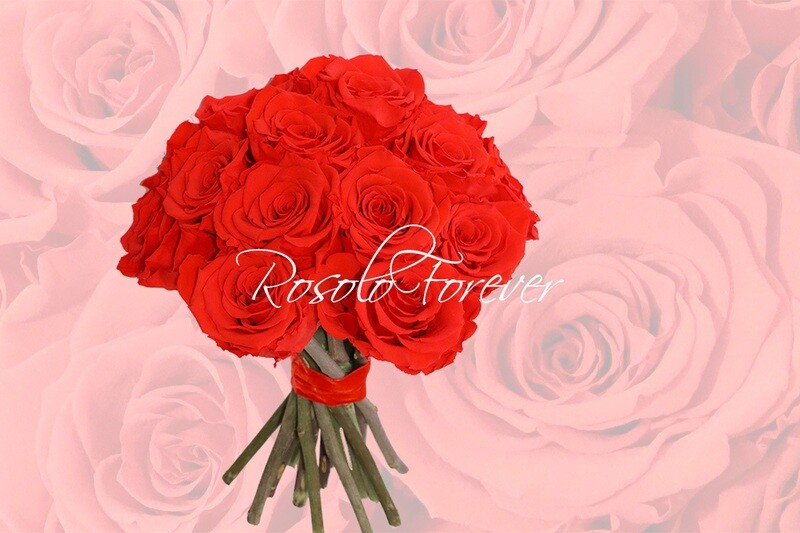 Bouquet de roses éternelles, rouge claire
