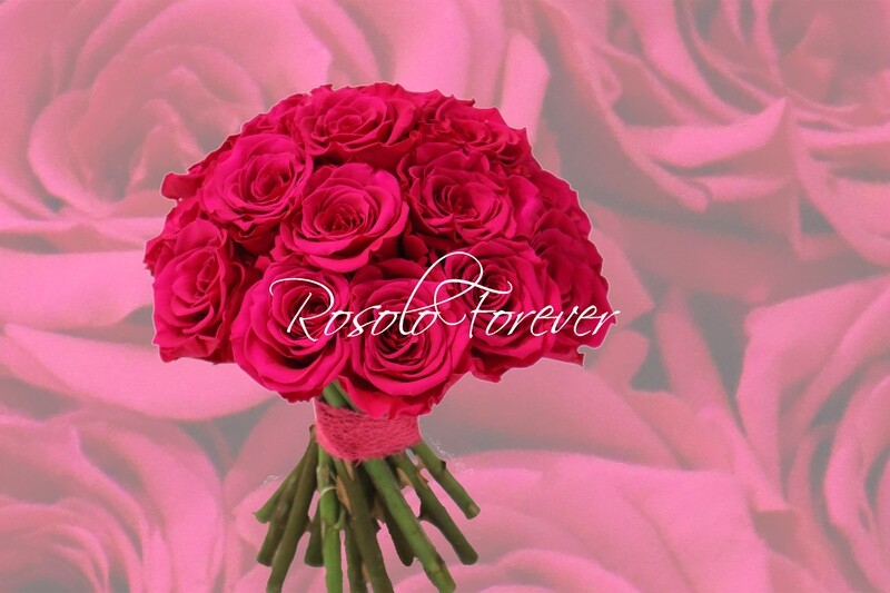 Bouquet de roses éternelles, pink