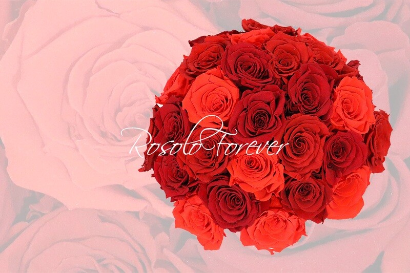 Bouquet de roses éternelles, rouge claire/ foncé