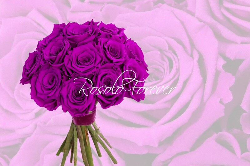 Bouquet de roses éternelles, violet