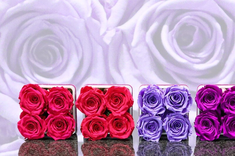 Carré de 4 roses éternelles, tons rose et mauve