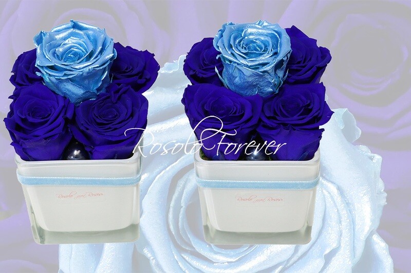 Carré de 5 roses éternelles, bleu foncé et bleu claire, effet métallisé