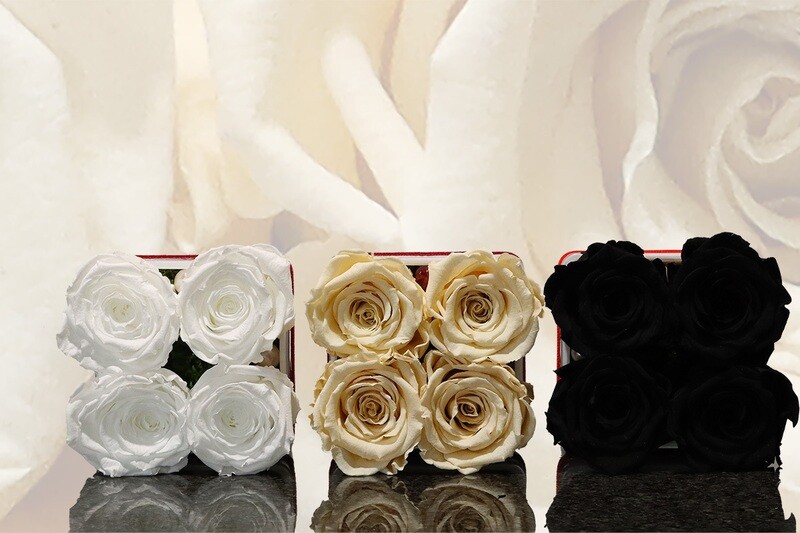Carré de 4 roses éternelles, tons blanc, beige, noir