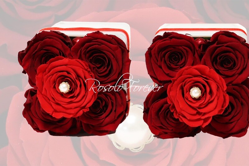 Carré de 5 roses éternelles, rouge-bordeaux