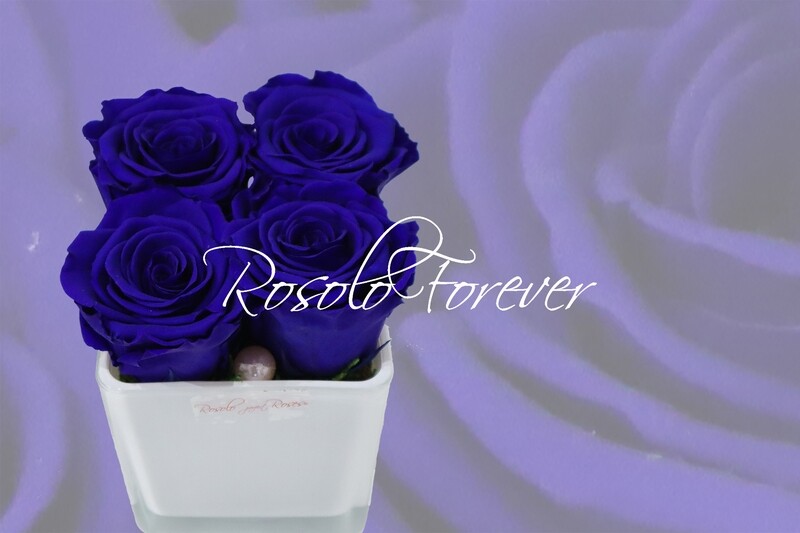 Carré de roses éternelles, bleu