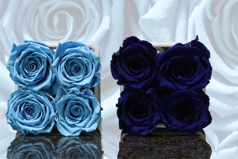 Carré de roses éternelles, bleu claire, bleu foncée