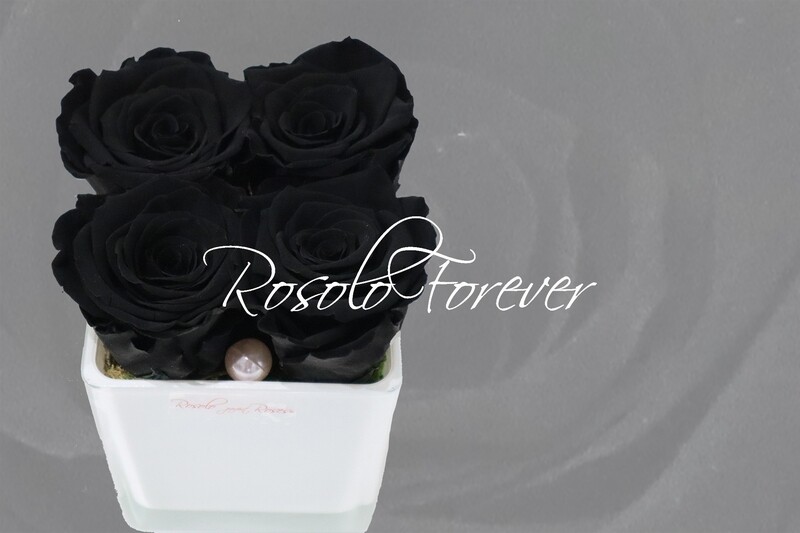 Carré de roses éternelles, noir