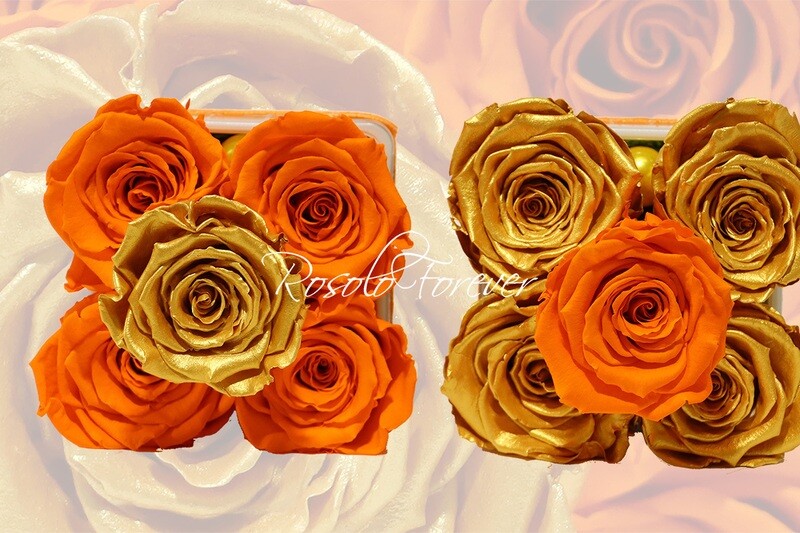 Carré de roses éternelles, orange-or et or-orange