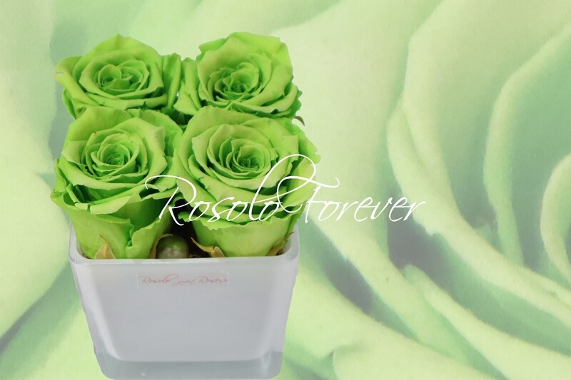 Carré de roses éternelles, vert