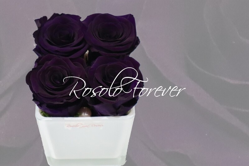 Carré de roses éternelles, violet