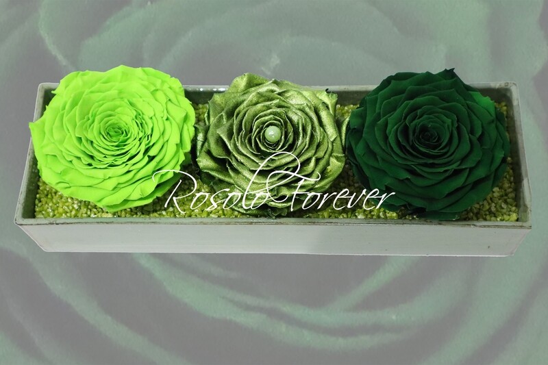 Arrangement de table, 3 roses XXL en vert