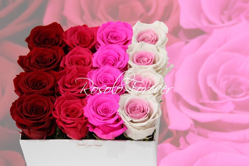 Arrangement de table, carré, en couleurs pastelles