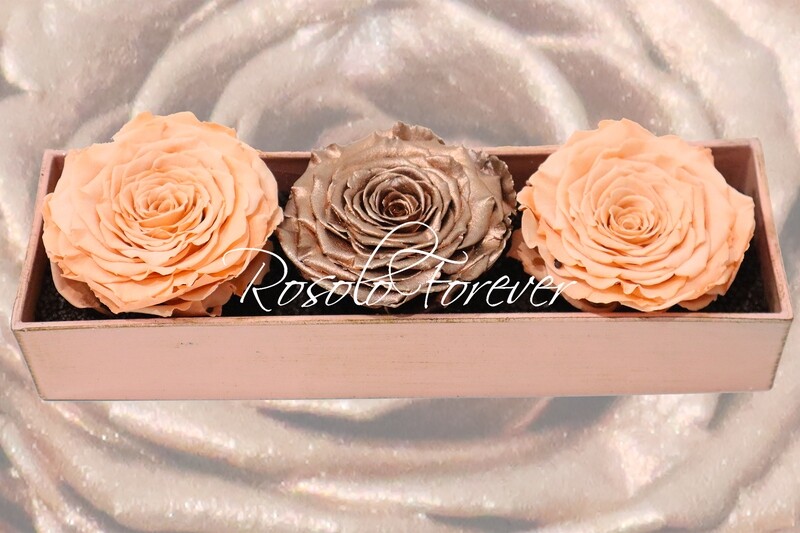 Arrangement de table, 3 roses XXL , couleur saumon et cuivre