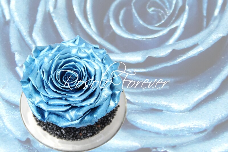Grande rose éternelle, bleue, métallisée