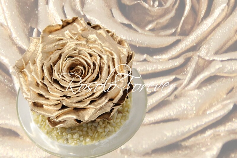 Grande rose éternelle, or, métallisée