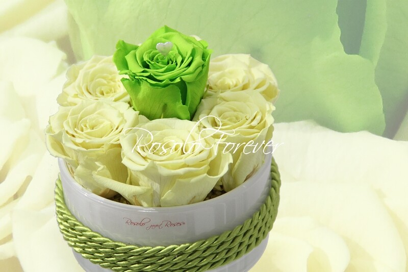 Coupe de roses, jaune pâle et vert