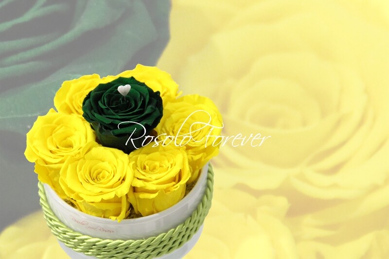 Coupe de roses, jaune vif et vert foncé