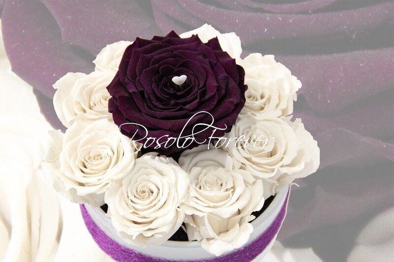 Coupe de roses, mauve et blanc