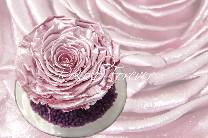 Grande rose éternelle, rose métallisée
