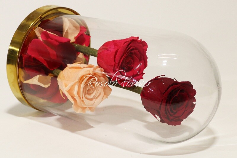 3 grandes roses éternelles sous cloche, tons rouge-fuchsia-rose
