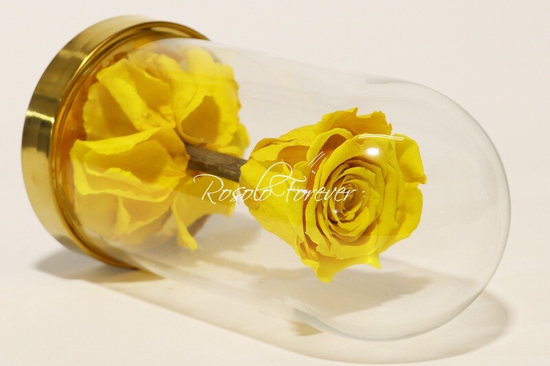 Belle rose éternelle sous cloche, taille L, jaune