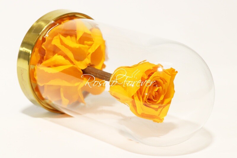 Belle rose éternelle sous cloche, taille L, jaune-orange