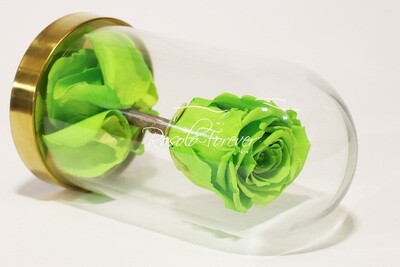 Belle rose éternelle sous cloche, taille L, vert claire