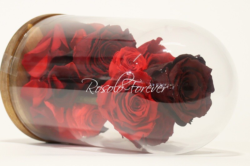 Cloche exclusive, 7 roses en rouge claire et bordeaux