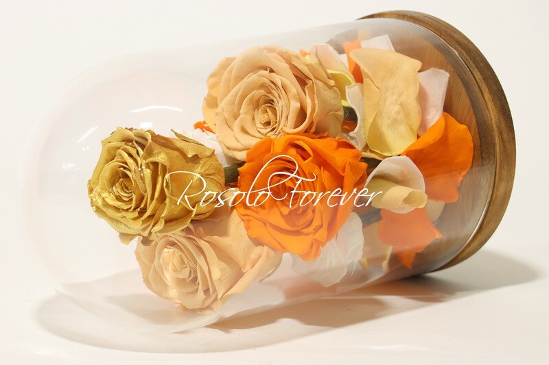 Cloche exclusive, 7 roses en or, beige, orange et blanc