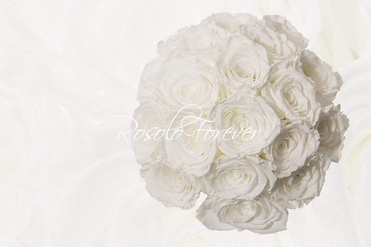 Bouquet de roses éternelles, blanc