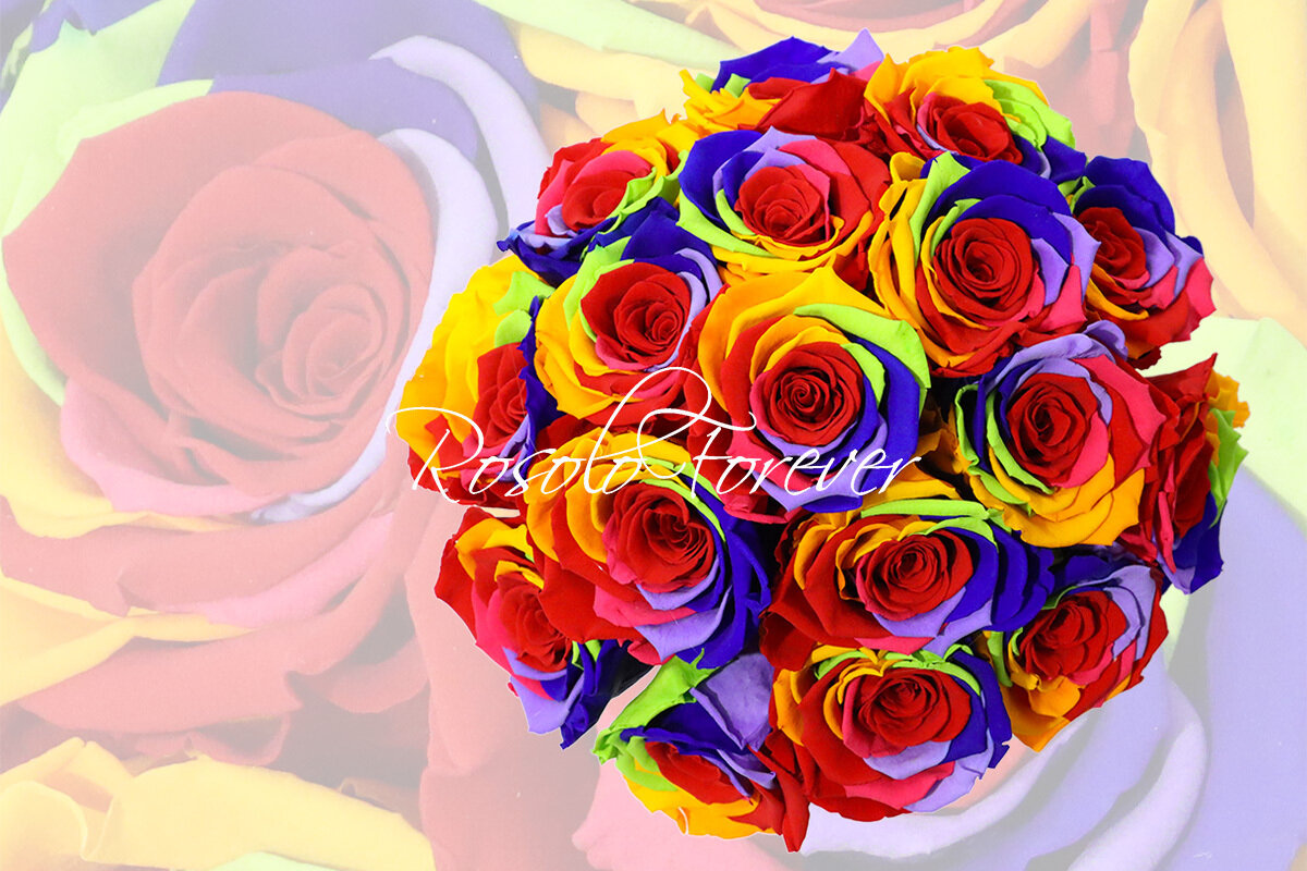 Bouquet de roses éternelles, arc-en-ciel