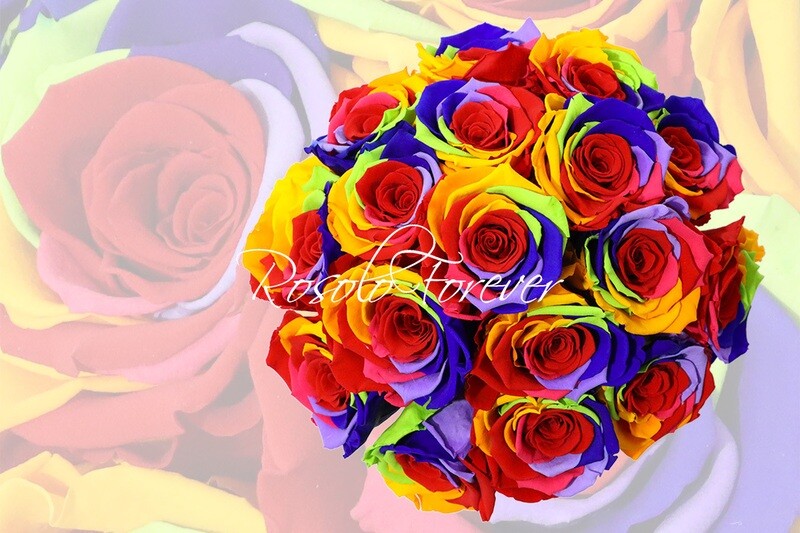 Bouquet de roses éternelles, arc-en-ciel