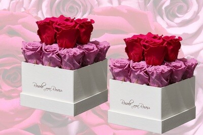 Boîte carrée 13 roses éternelles en mauve et fuchsia