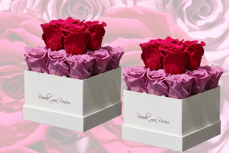 Boîte carrée 13 roses éternelles en mauve et fuchsia