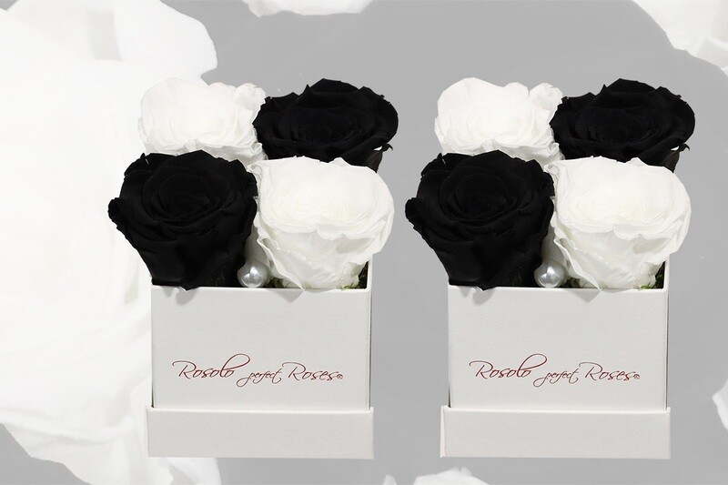 Boîte carrée, 4 roses éternelles en noir et blanc