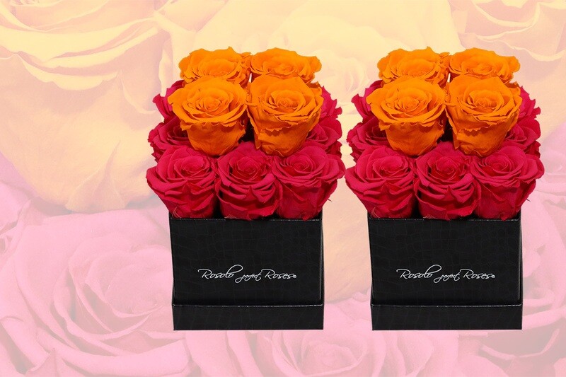 Boîte cubique, 13 roses éternelles en fuchsia et orange