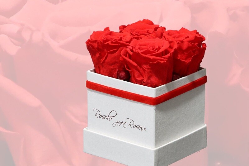 Boîte carrée, 4 roses éternelles en rouge-orange