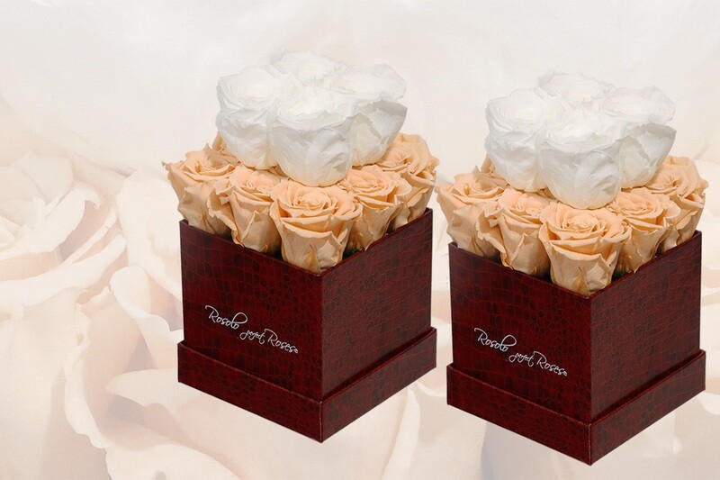 Boîte cubique 13 roses éternelles en saumon et blanc