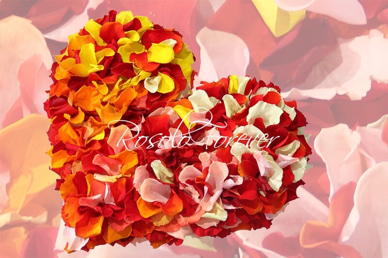 Beau cœur composé de centaines de pétales de roses