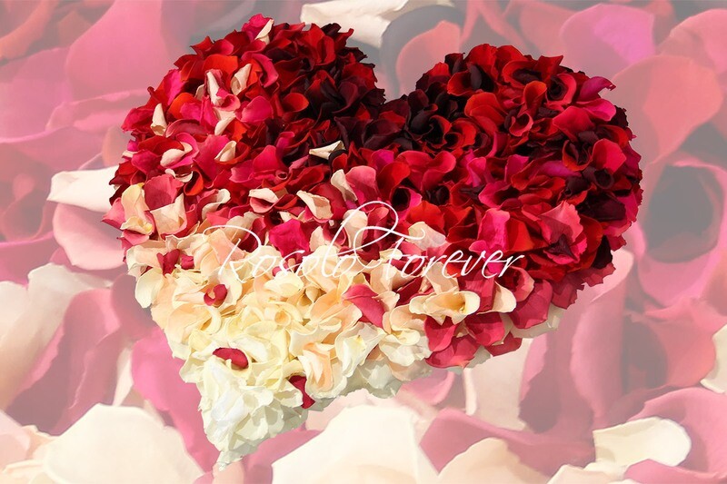 Beau cœur composé de centaines de pétales de roses