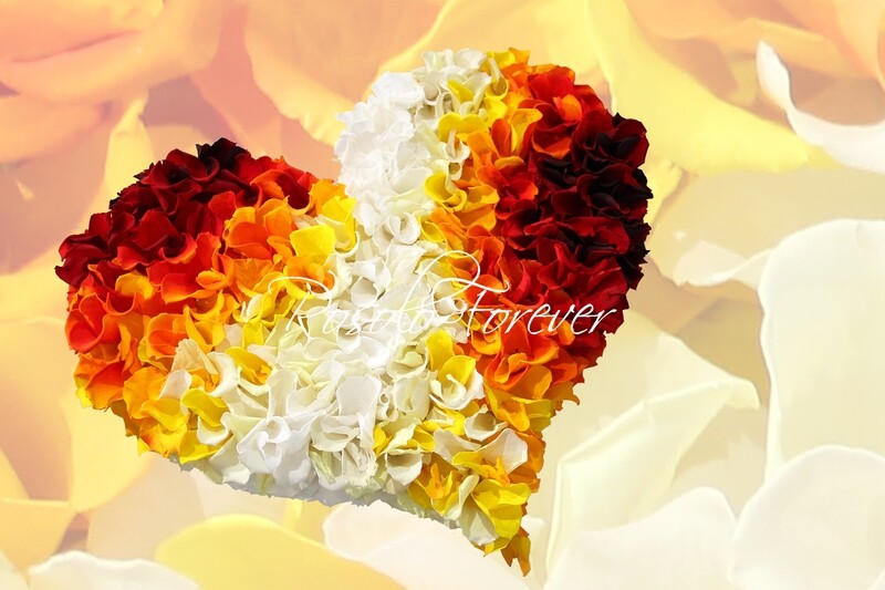 Beau cœur composé de centaines de pétales de roses