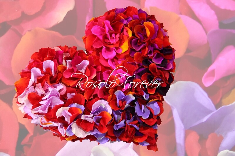 Beau cœur composé de centaines de pétales de roses