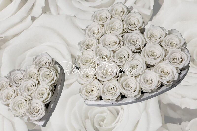 Cœur de roses stabilisées en blanc
