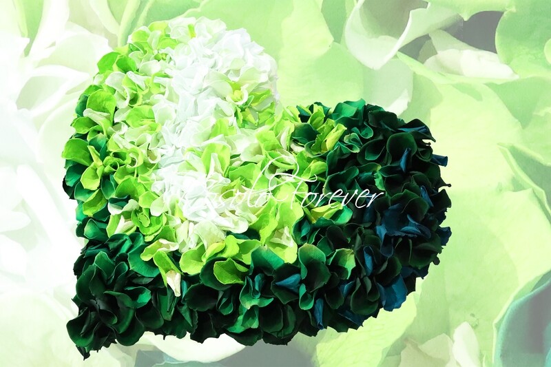 Beau cœur composé de centaines de pétales de roses