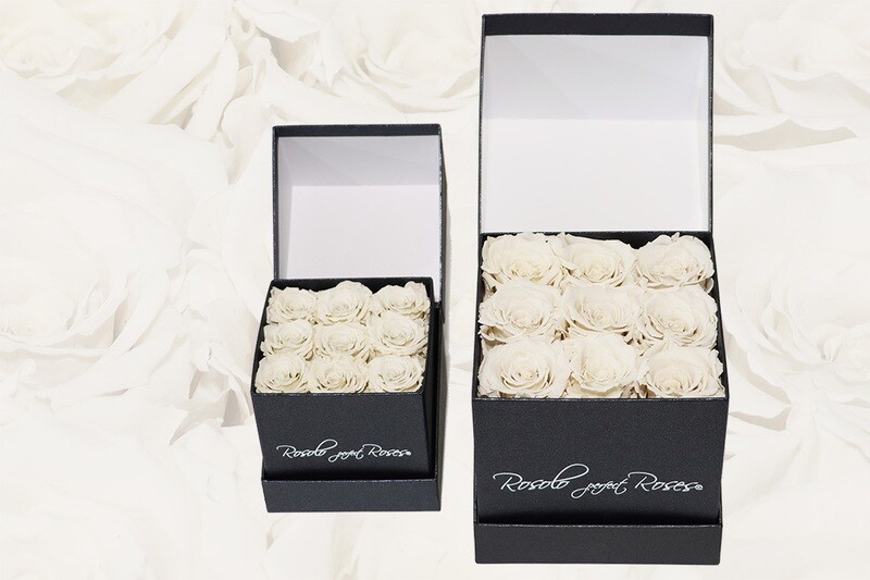 Boîte prestigieuse avec 9 roses éternelles, en blanc ou crème. 2 tailles: roses miniatures ou roses larges