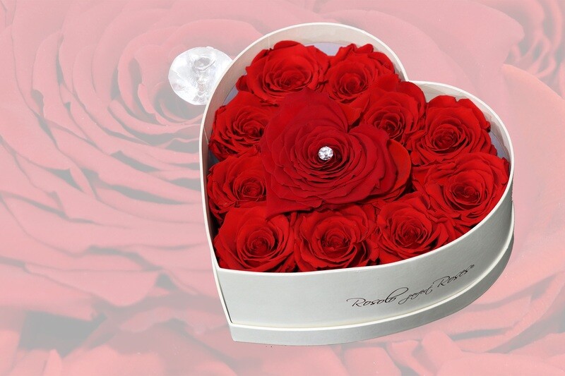 Boîte en forme de coeur, 13 roses éternelles en rouge et une grande rose "corazon"