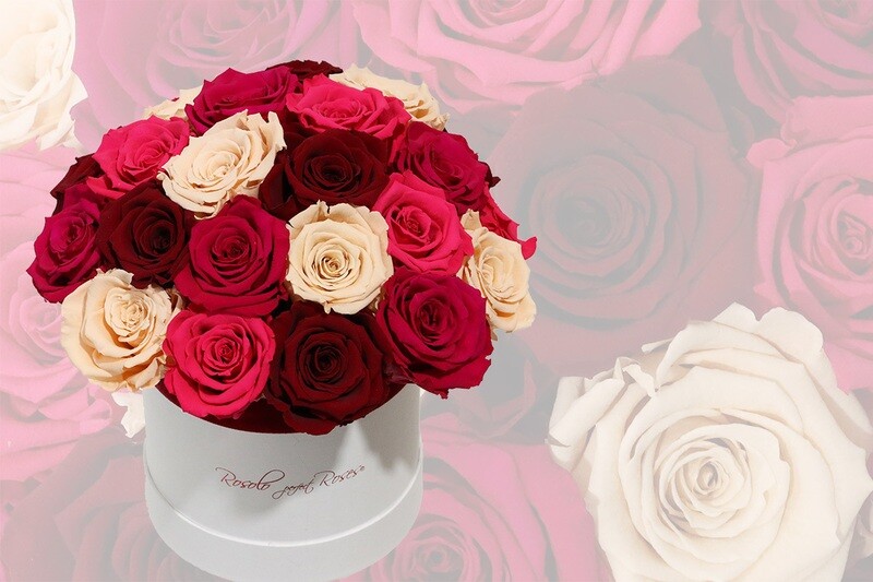 Superbe boîte de roses stabilisées en rouge, rose et fuchsia. Plusieurs tailles disponibles