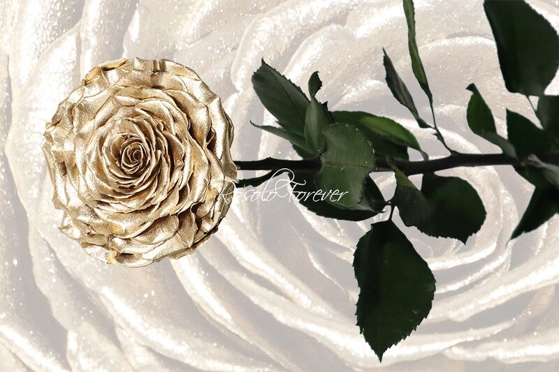 Rose spéciale, XXL, couleur or