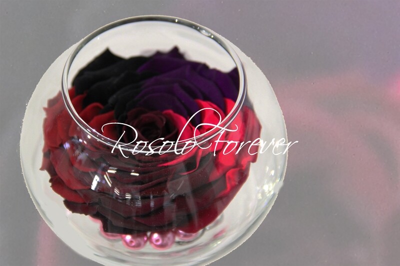 Grande rose, multi-couleur, dans un vase boule