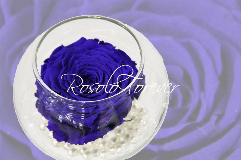 Grande rose, bleue, dans un vase boule